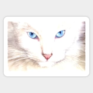 Ghost the Cat Sticker